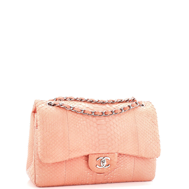 Chanel Classic Double Flap Bag Python