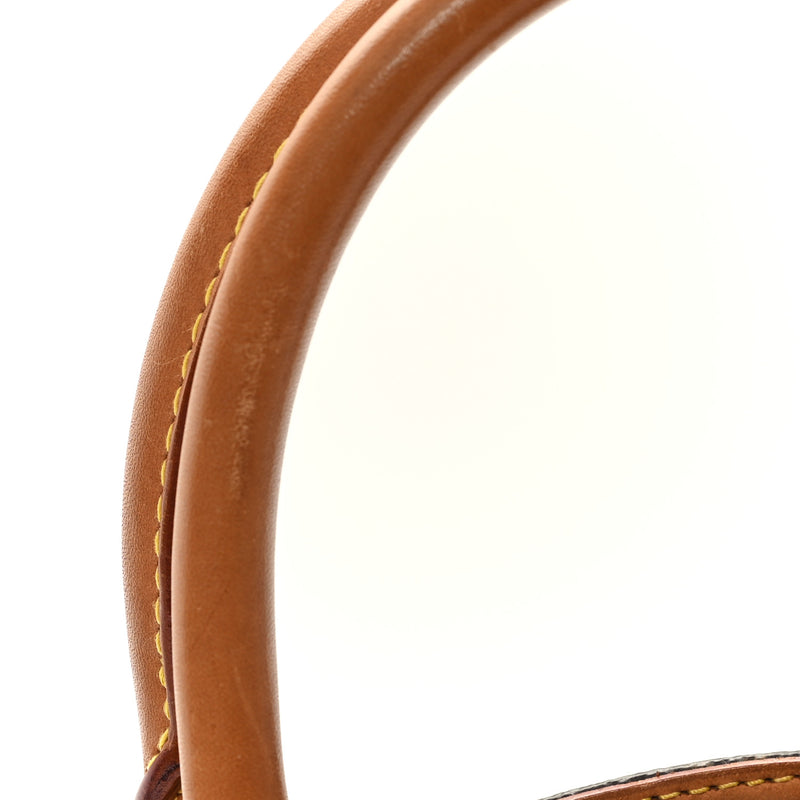 Louis Vuitton Ellipse Pm