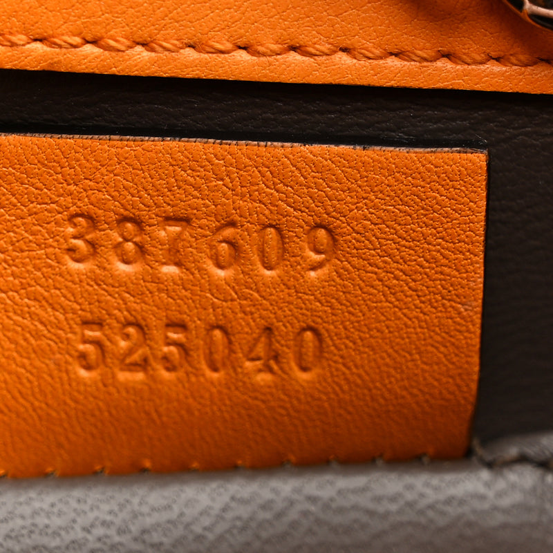 Gucci Shade Lux Calfskin Small