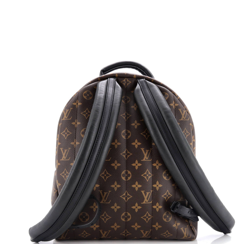 Louis Vuitton Palm Springs Backpack