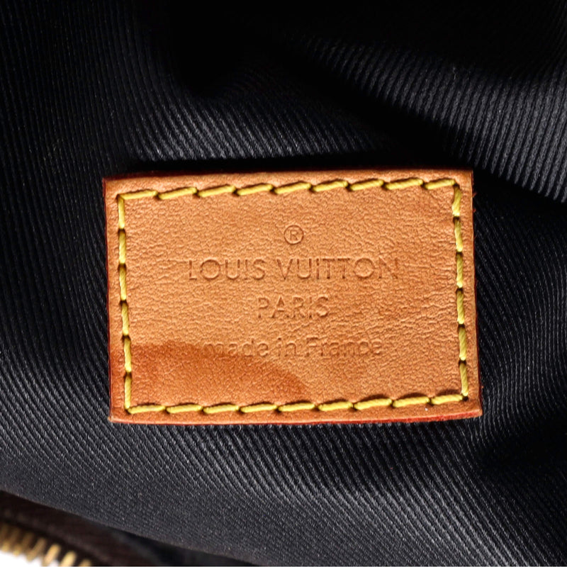 Louis Vuitton Bum Bag Canvas