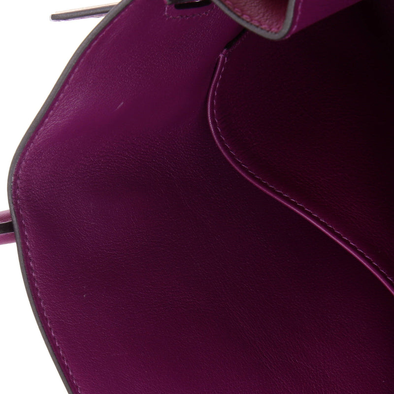 Hermes Birkin Handbag Anemone Swift With