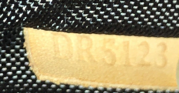 Louis Vuitton Pegase Luggage Canvas 45