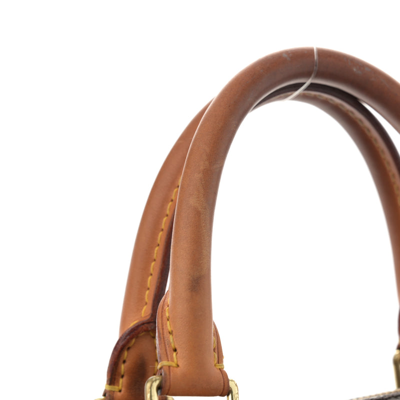 Louis Vuitton Speedy 35