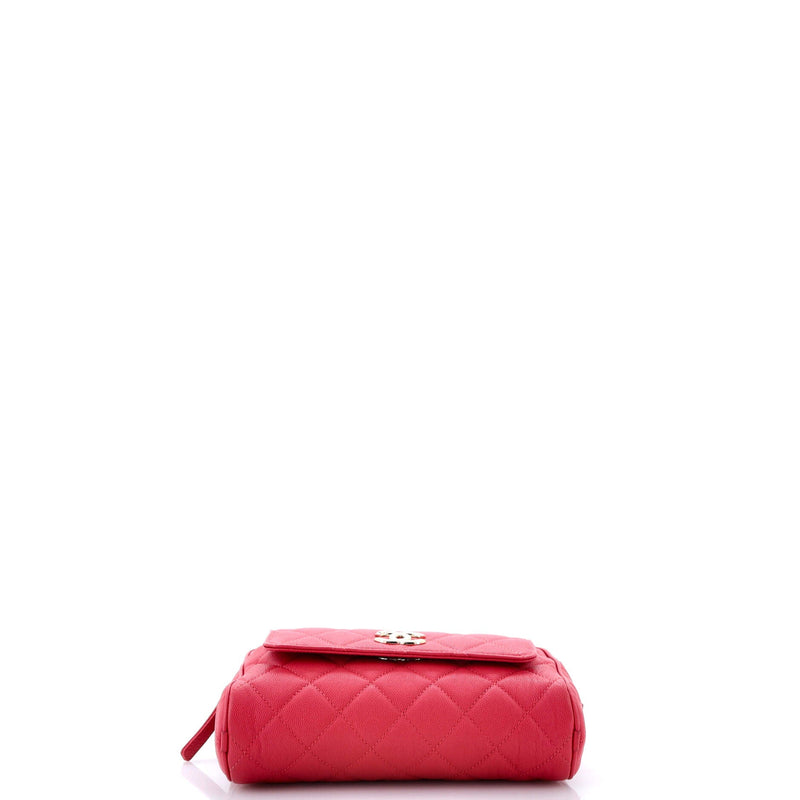 Chanel In & Out Camera Case Quilted