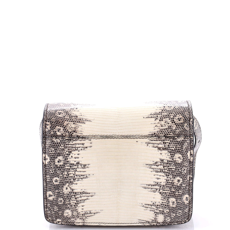 Celine Classic Box Bag Lizard Small