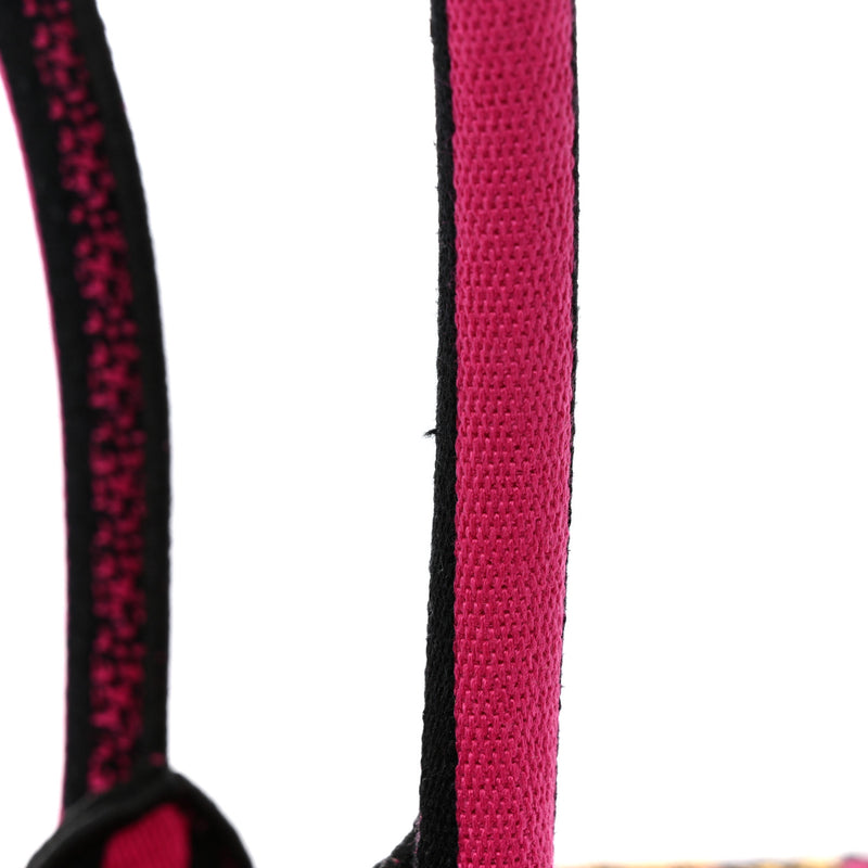 Christian Dior Canvas Embroidered Large