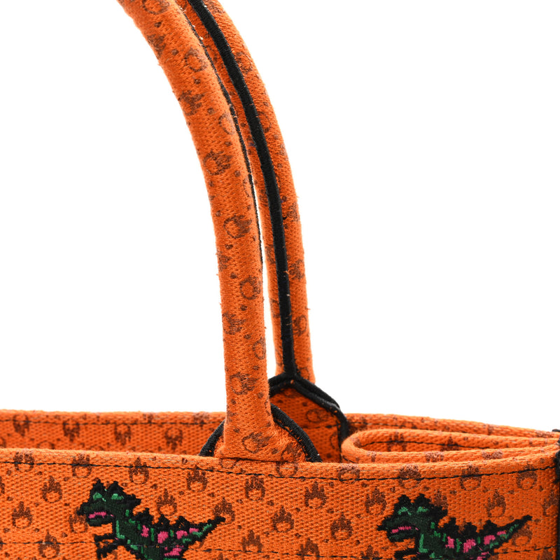 Christian Dior Canvas Embroidered Medium