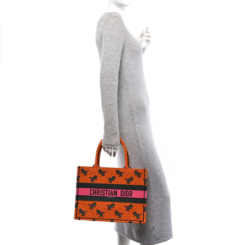 Christian Dior Canvas Embroidered Medium