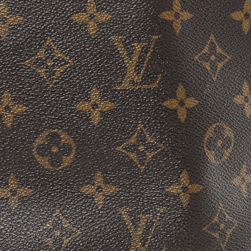 Louis Vuitton Neverfull Pm