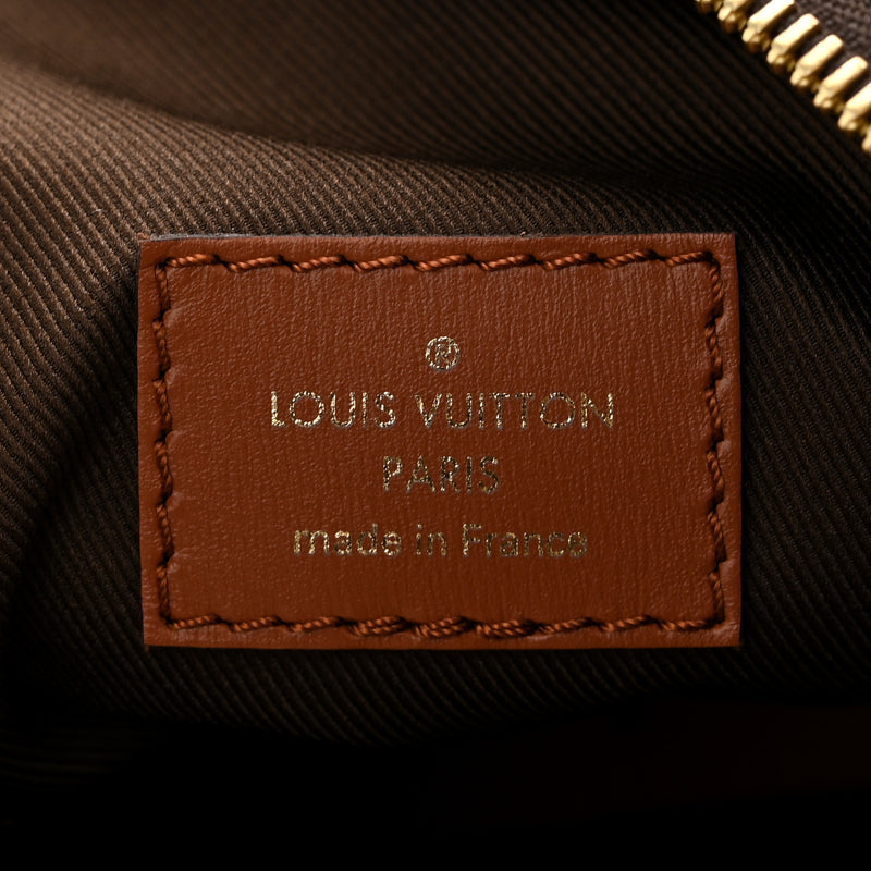 Louis Vuitton Reverse Loop Hobo