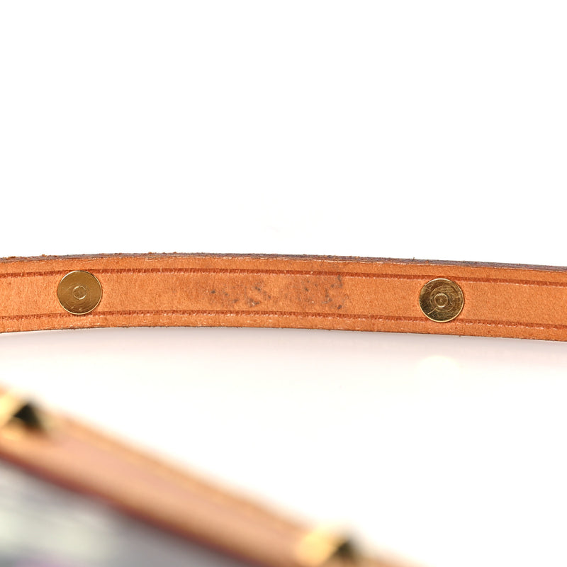 Louis Vuitton Multicolor Pochette