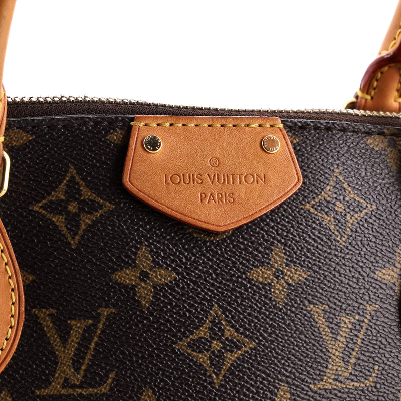 Louis Vuitton Turenne Handbag Canvas Gm