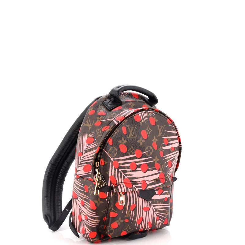 Louis Vuitton Palm Springs Backpack