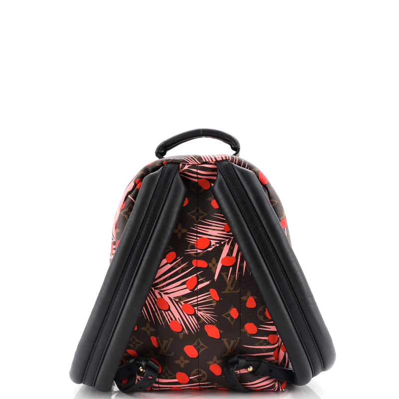 Louis Vuitton Palm Springs Backpack