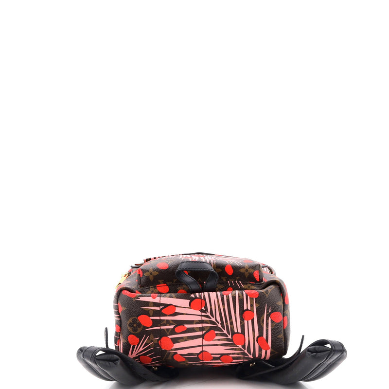 Louis Vuitton Palm Springs Backpack