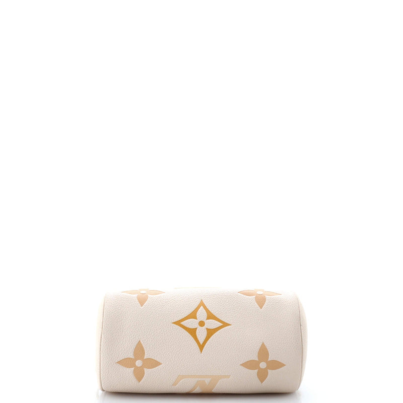 Louis Vuitton Papillon Handbag By The