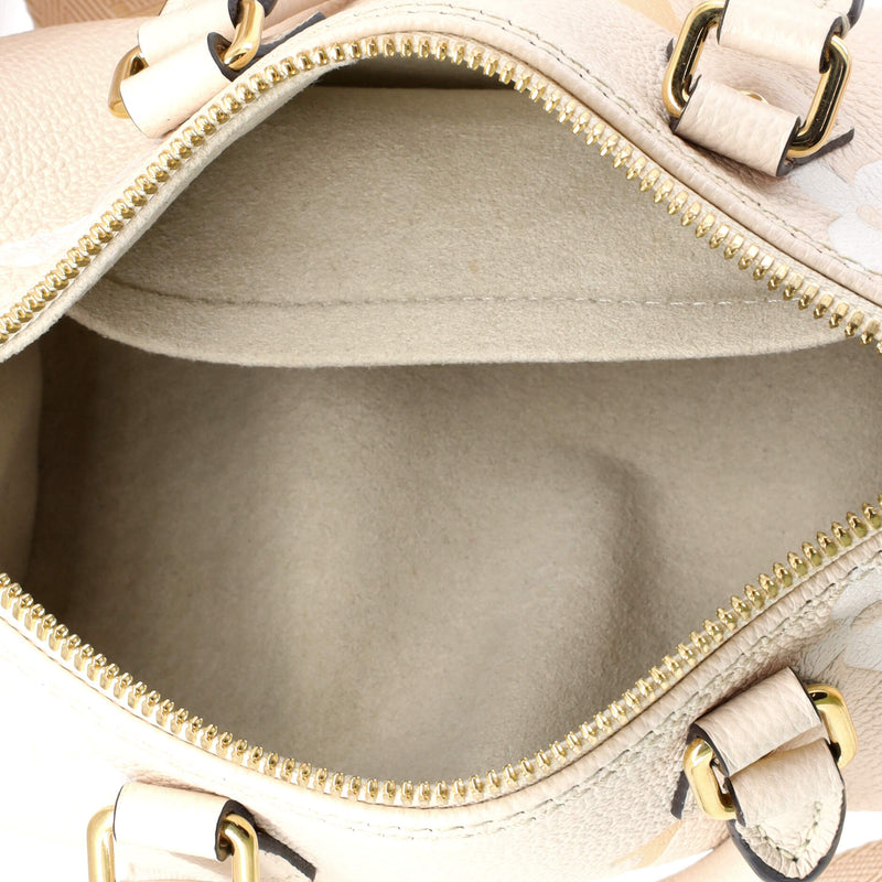 Louis Vuitton Papillon Handbag By The