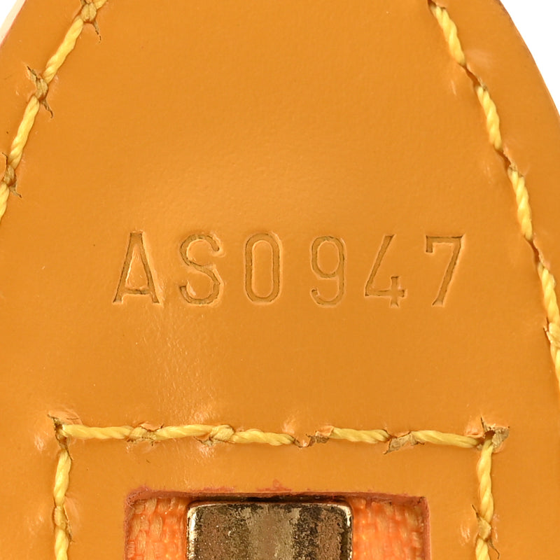 Louis Vuitton Epi Saint Jacques Pm Long