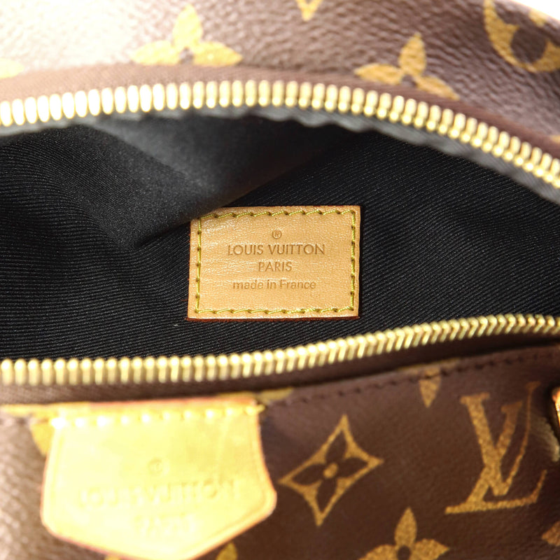 Louis Vuitton Bum Bag Canvas