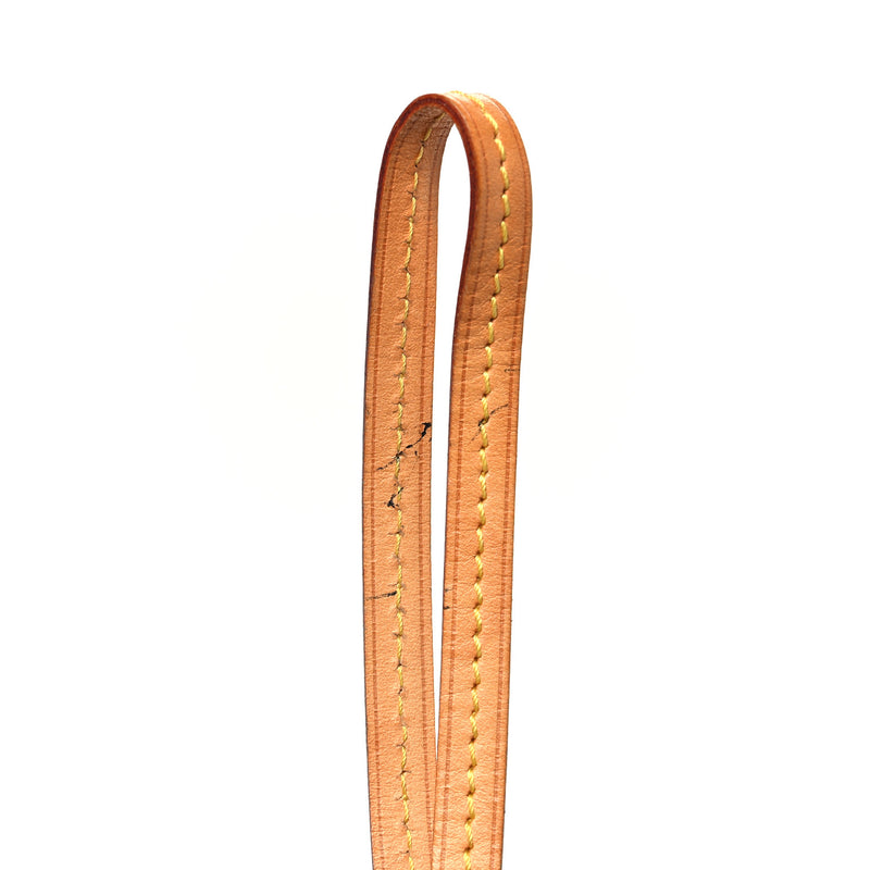Louis Vuitton Mini Ellipse Wristlet