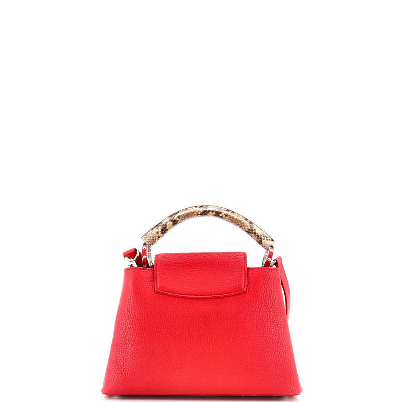 Louis Vuitton Capucines Bag Leather With