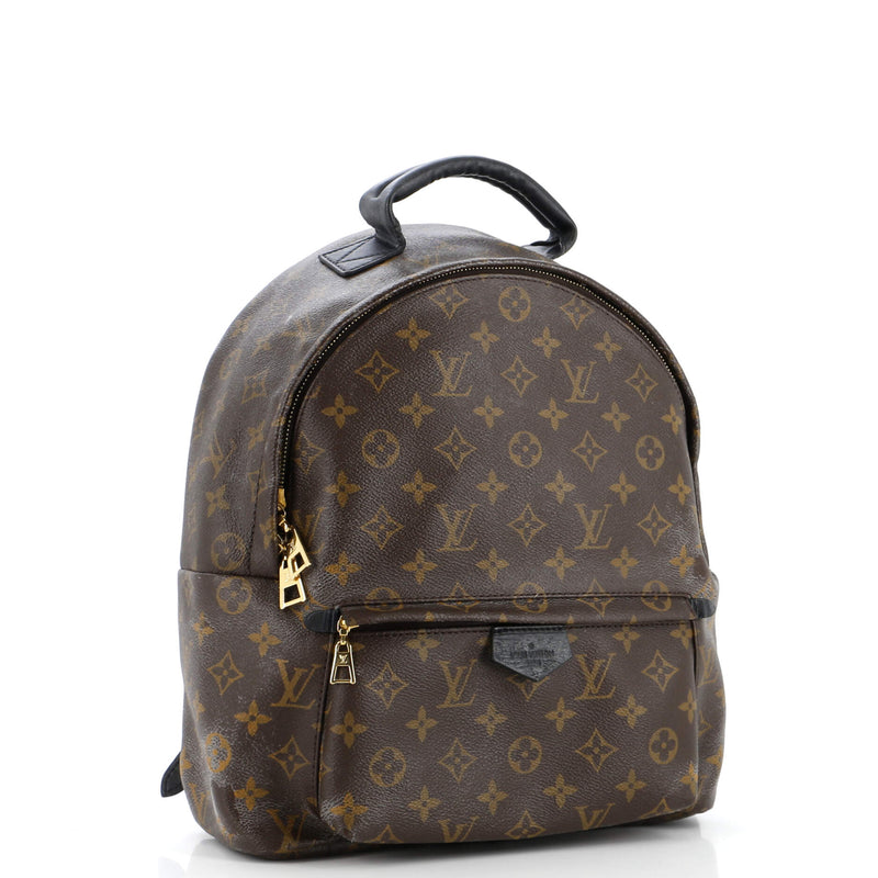 Louis Vuitton Palm Springs Backpack
