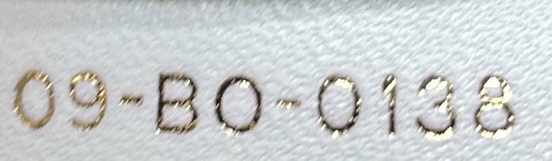 Christian Dior Diorama Flap Bag Studded