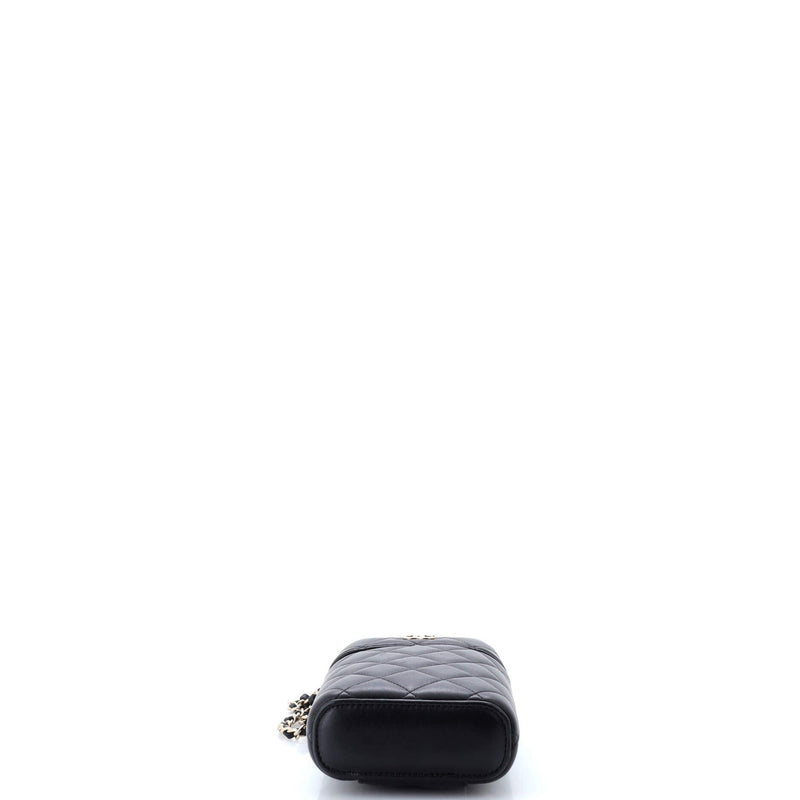 Chanel Classic Vanity Top Handle Phone