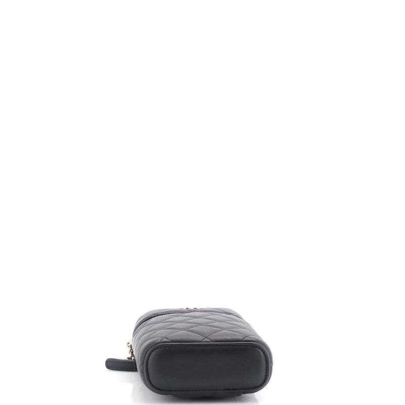 Chanel Classic Vanity Top Handle Phone