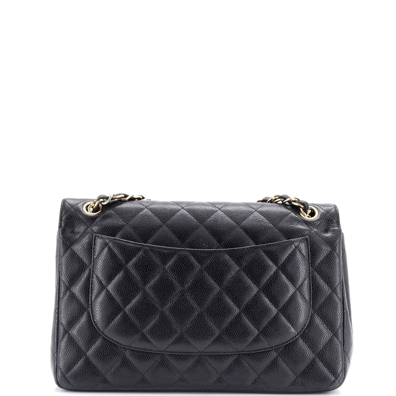 Chanel Classic Double Flap Bag Quilted