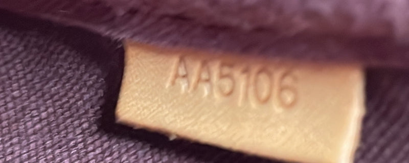 Louis Vuitton Favorite Handbag Canvas Mm