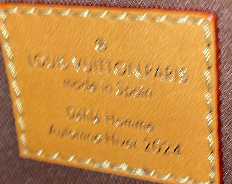 Louis Vuitton Soul Trunk Bag Dust