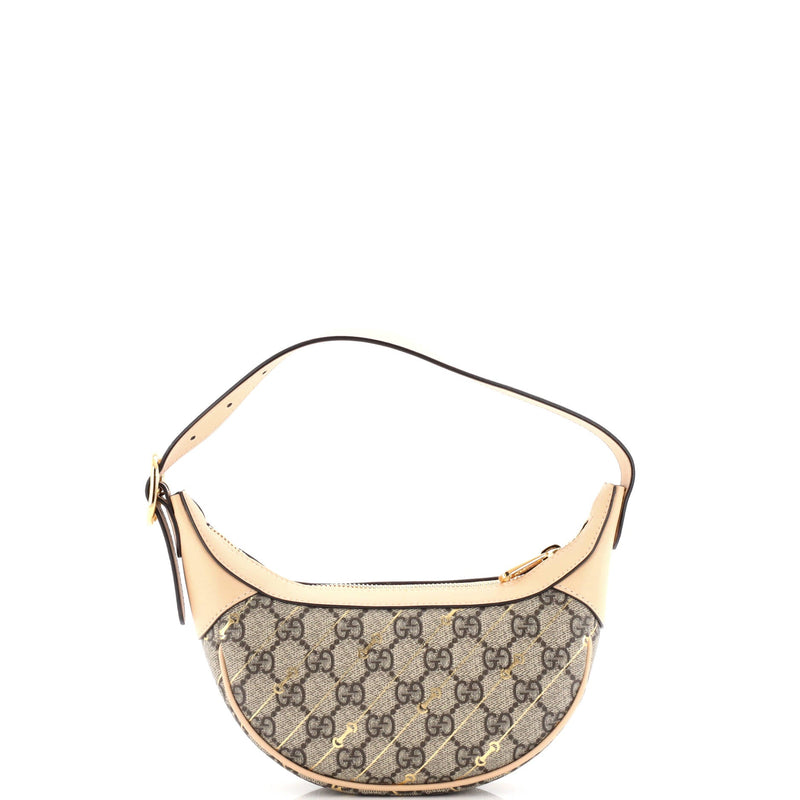Gucci Ophidia Zip Hobo Print Gg Coated