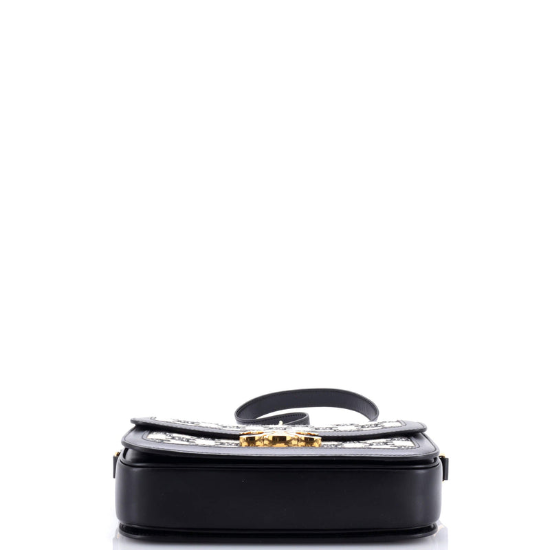 Celine Triomphe Shoulder Bag Canvas