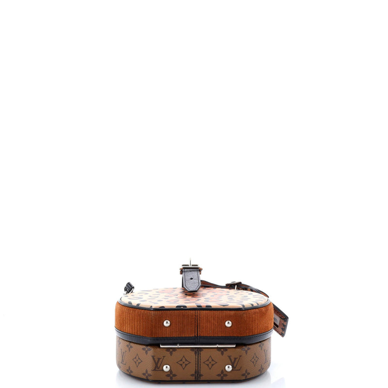 Louis Vuitton Petite Boite Chapeau Bag