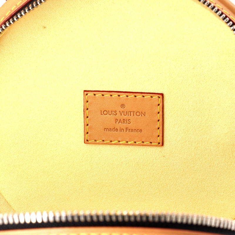 Louis Vuitton Cannes Handbag Damier Lv