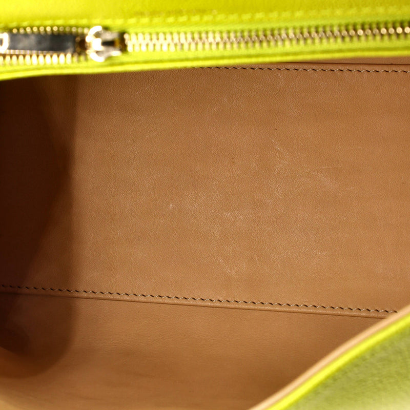 Delvaux Brillant Top Handle Bag Leather