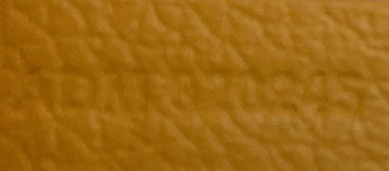 Goyard Boheme Hobo Coated Canvas