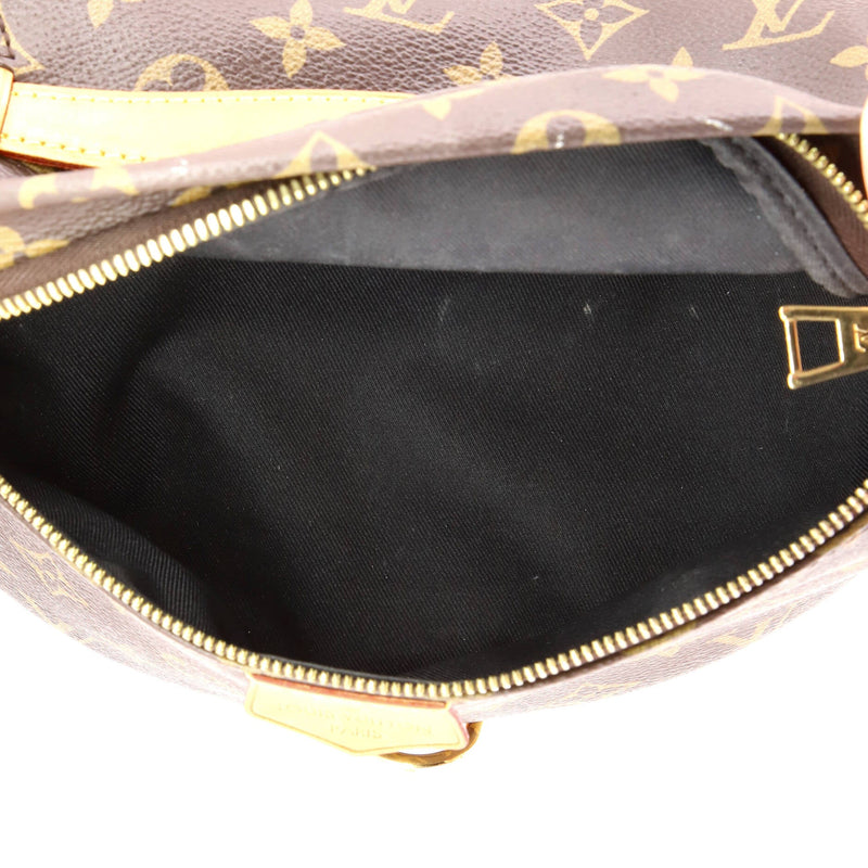 Louis Vuitton Bum Bag Canvas