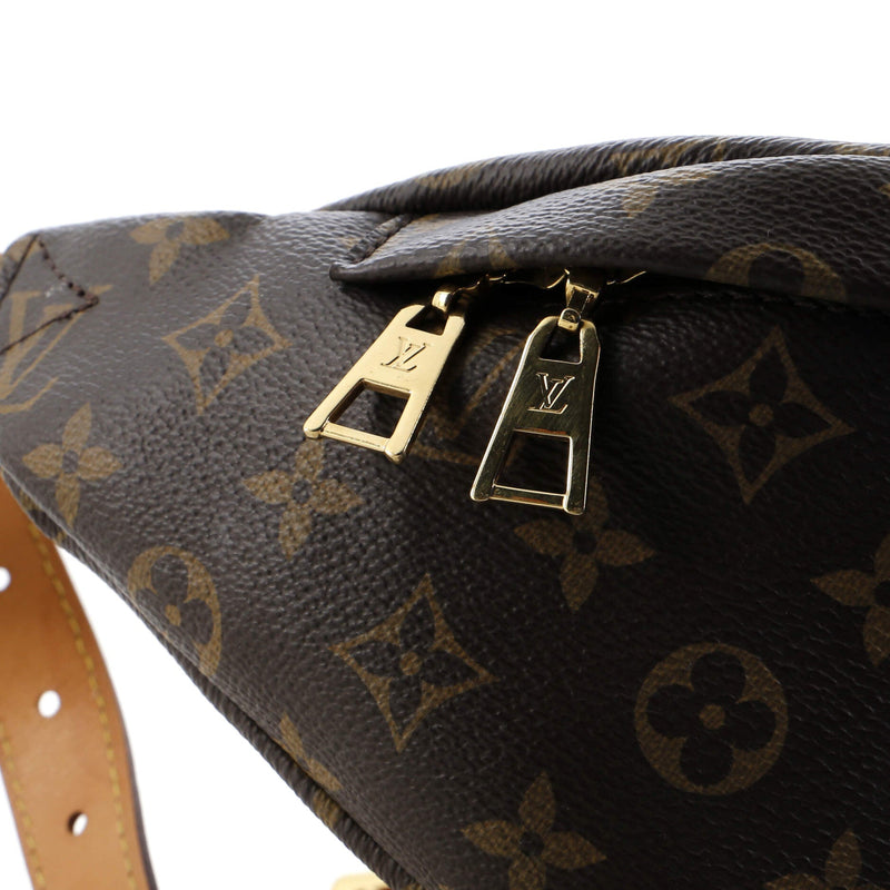 Louis Vuitton Bum Bag Canvas