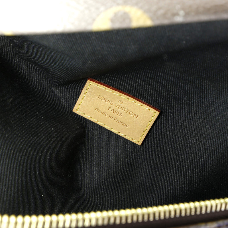 Louis Vuitton Bum Bag Canvas
