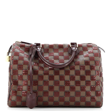 Louis Vuitton Speedy Handbag Damier