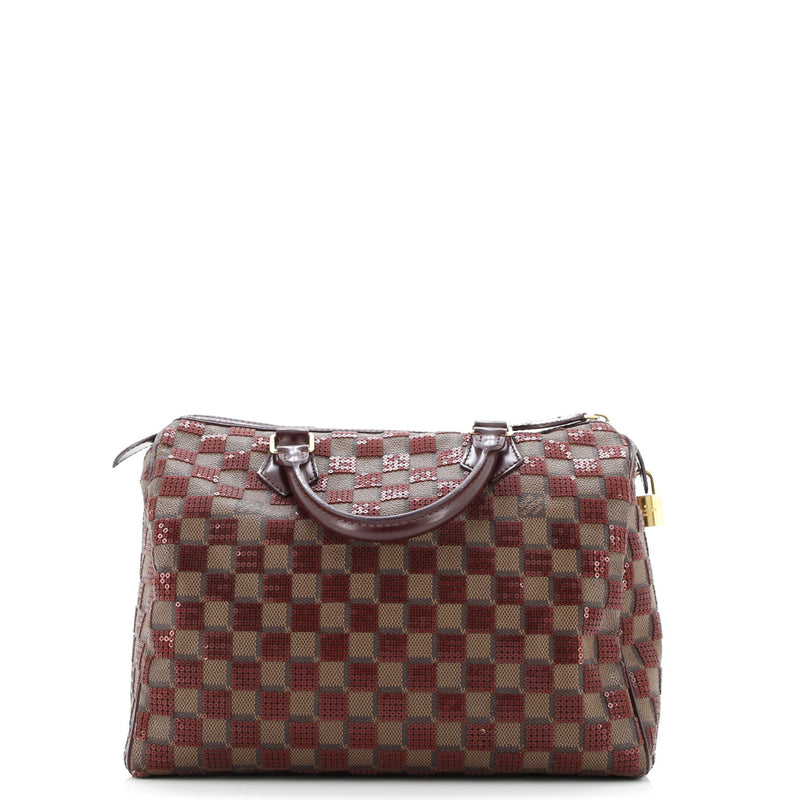 Louis Vuitton Speedy Handbag Damier