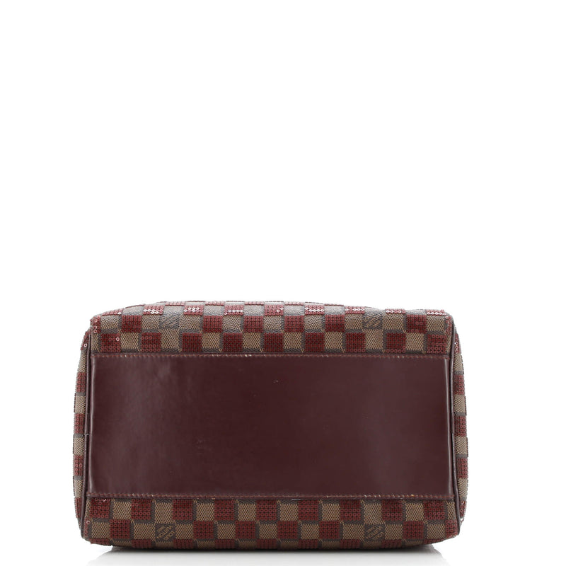 Louis Vuitton Speedy Handbag Damier