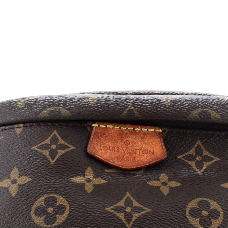Louis Vuitton Bum Bag Canvas