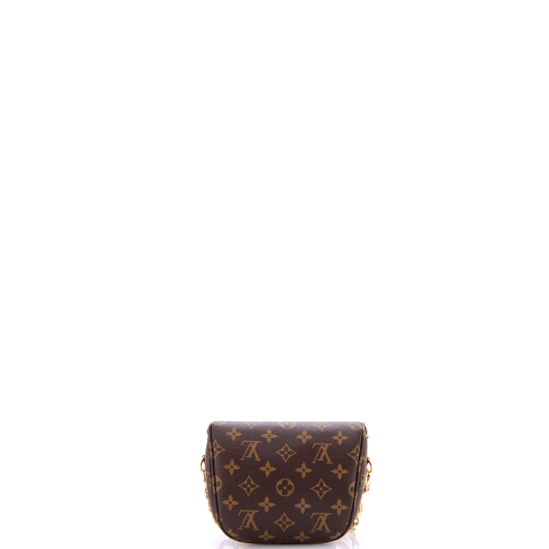 Louis Vuitton Bum Bag Canvas Mini