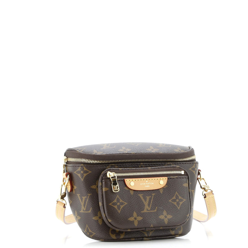 Louis Vuitton Bum Bag Canvas Mini