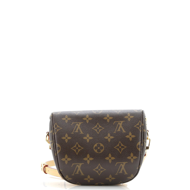 Louis Vuitton Bum Bag Canvas Mini