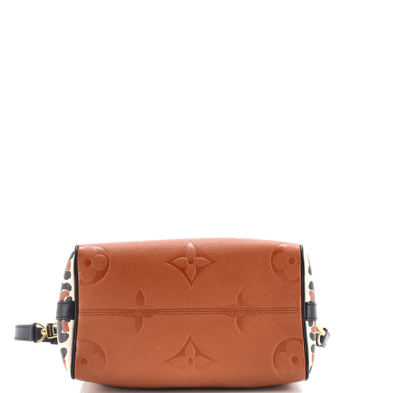 Louis Vuitton Speedy Bandouliere Bag